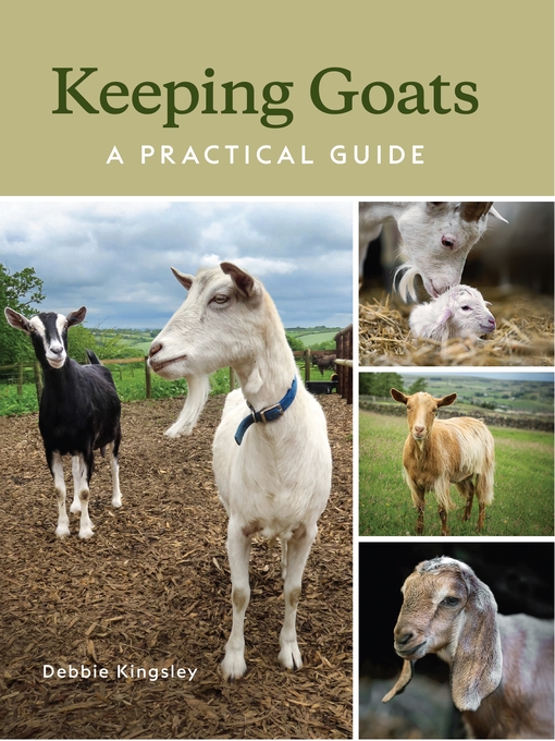 Title details for Keeping Goats by Debbie Kingsley - Available